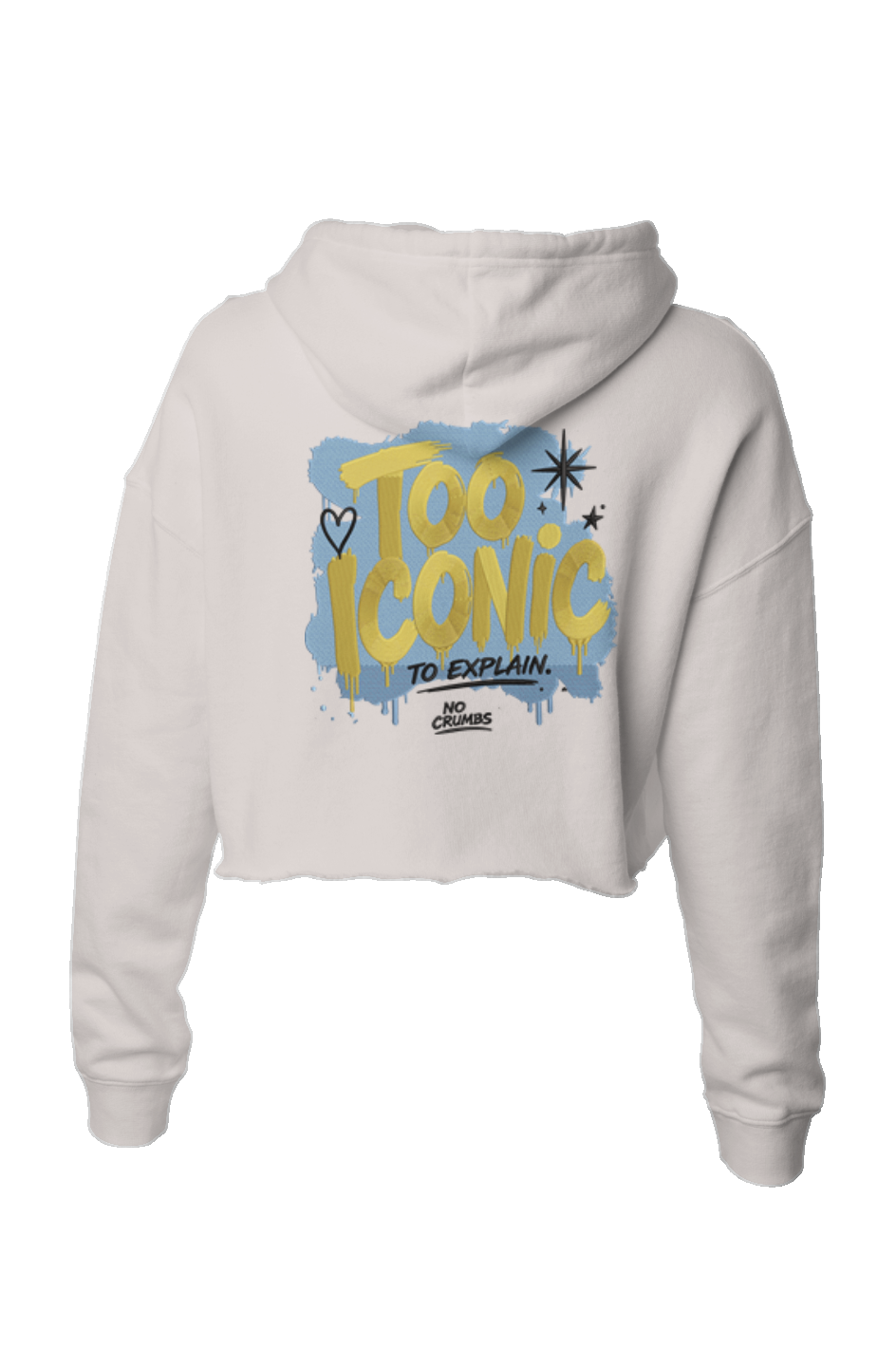 Too Iconic Crop Hoodie
