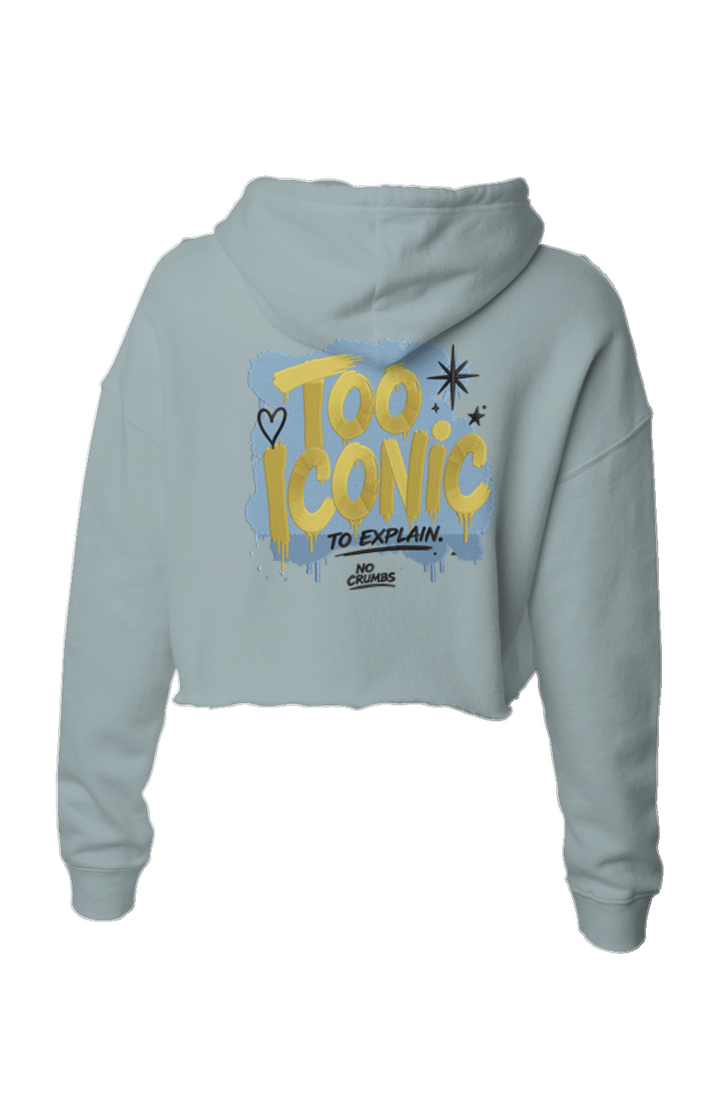 Too Iconic Crop Hoodie